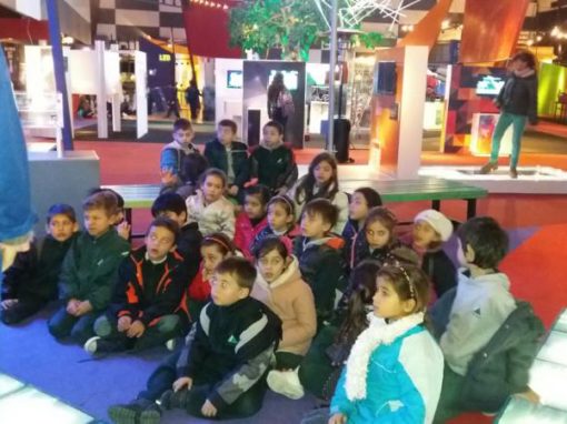 Primaria – Espacio Ciencias