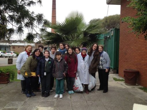 Secundaria – 1º año CB – E.C.A