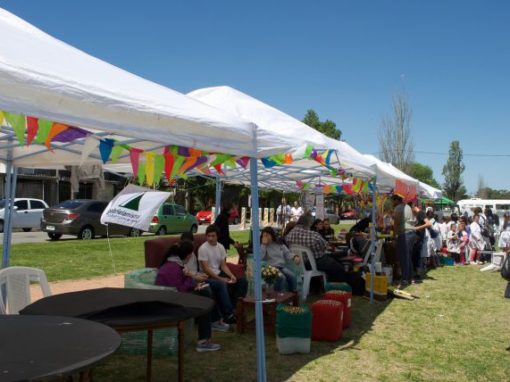 Secundaria – Feria Ambiental