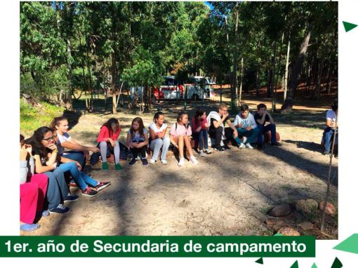 2018: 1er. año de secundaria de campamento