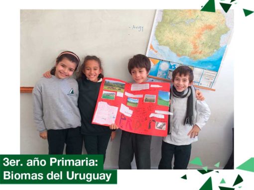 2018: 3er. año Primaria investigó los Biomas del Uruguay