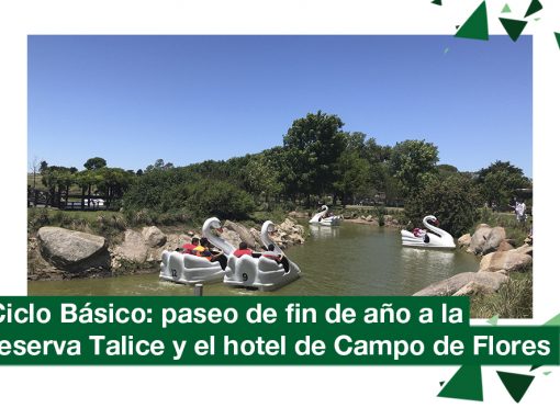 2018: paseo de fin de año de Ciclo Básico