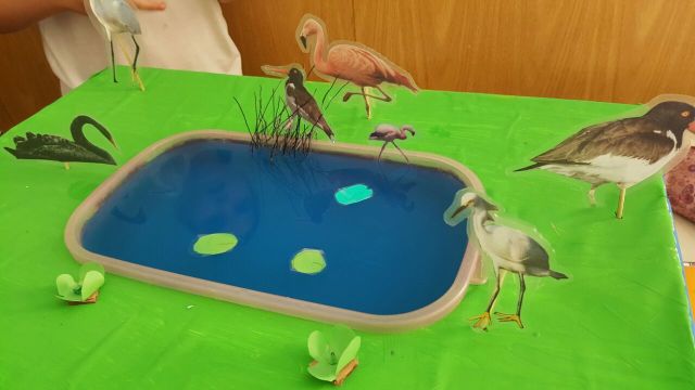 Biología -Primer año CB