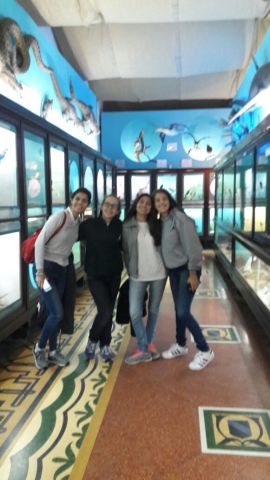 Secundaria – 5to. Biológico