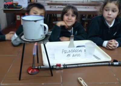 Primaria – 1er. año – Laboratorio