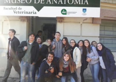 Bachillerato – Facultad de Veterinaria