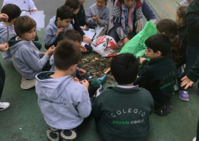 Primaria – Inglés -2º año