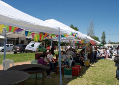 Secundaria – Feria Ambiental