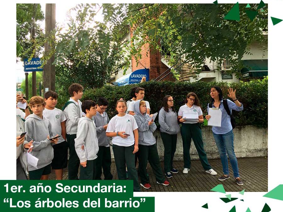 2018: 1er año Secundaria, proyecto «los árboles de mi barrio»
