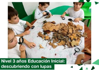 2018: Educación Inicial Nivel 3 años, descubriendo con lupas