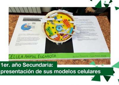 2018: 1er. año de Secundaria en clase de Biología