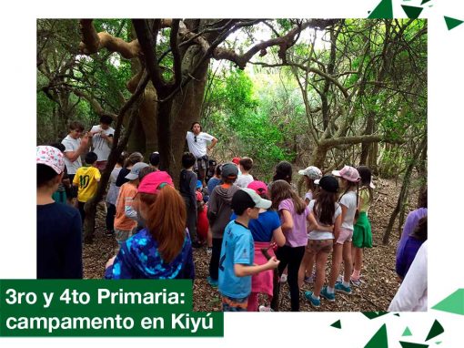 2018: 3ro y 4to Primaria, campamento en Kiyú.