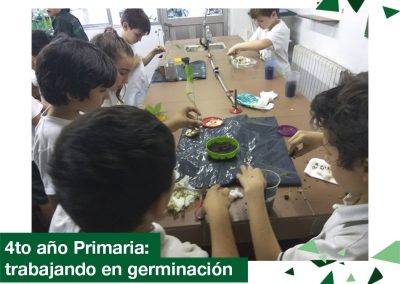 2018: 4to año Primaria trabajando en germinación