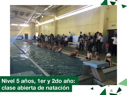 2018: Nivel 5 años, 1ero y 2do año en clase abierta de natación