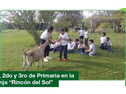2019: 1ro, 2do y 3ro de Primaria en la granja «Rincón del Sol»
