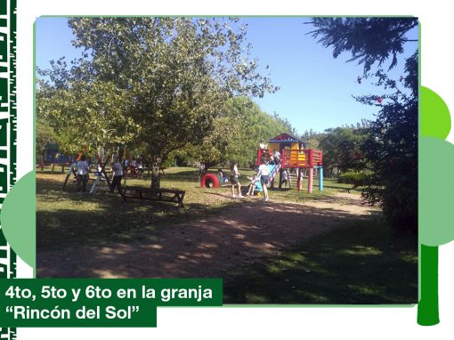 2019: 4to, 5to y 6to de Primaria en la granja «Riincón del Sol»