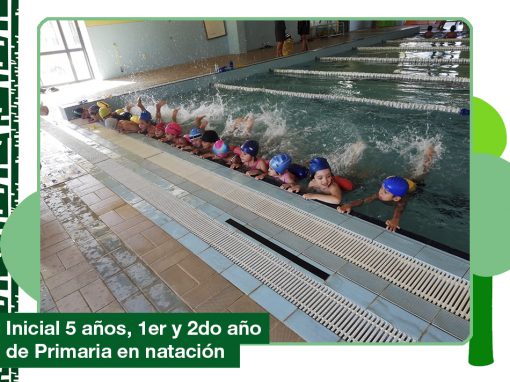 2019: inicial 5 años, 1ro y 2do año de Primaria en natación