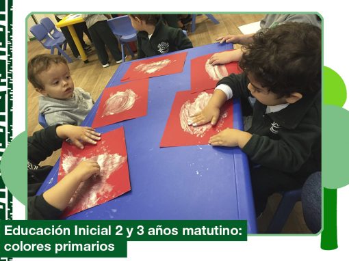 2019: Ed. Inicial 2 y 3 años turno matutino investiga los colores primarios.