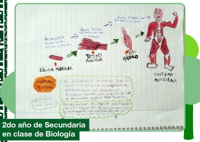 2019: 2do año de Secundaria en clase de Biología.