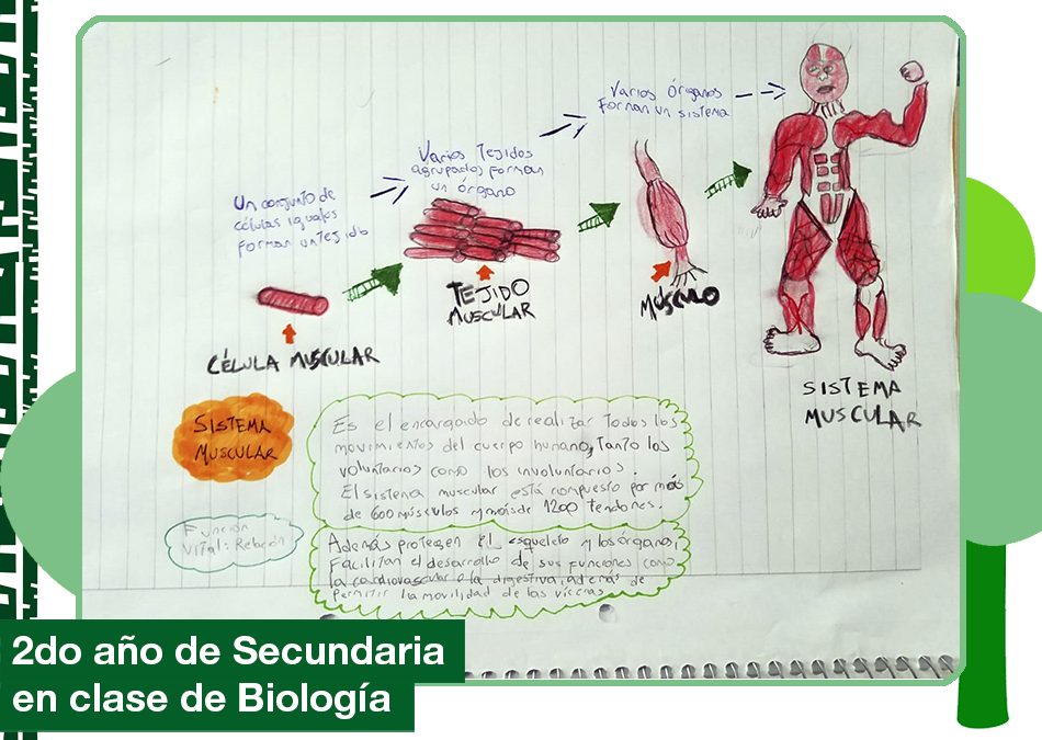 2019: 2do año de Secundaria en clase de Biología.