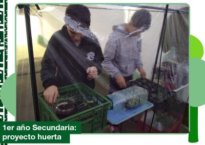 Junio 2019: Proyecto Huerta