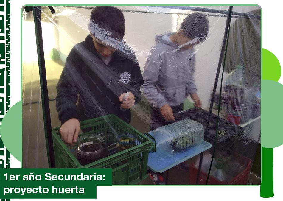 Junio 2019: Proyecto Huerta