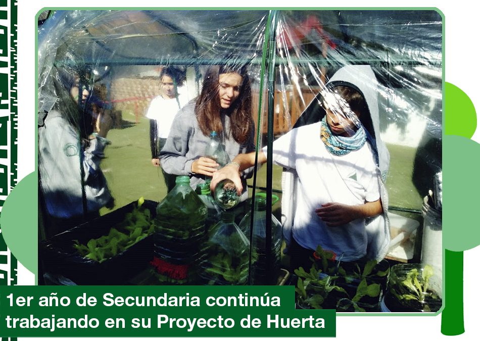 2019: Proyecto huerta, continúa el proceso.