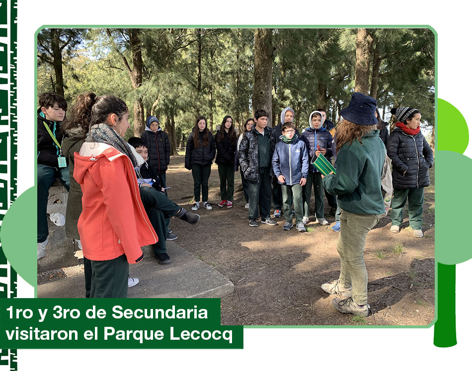 2019: Parque Lecocq