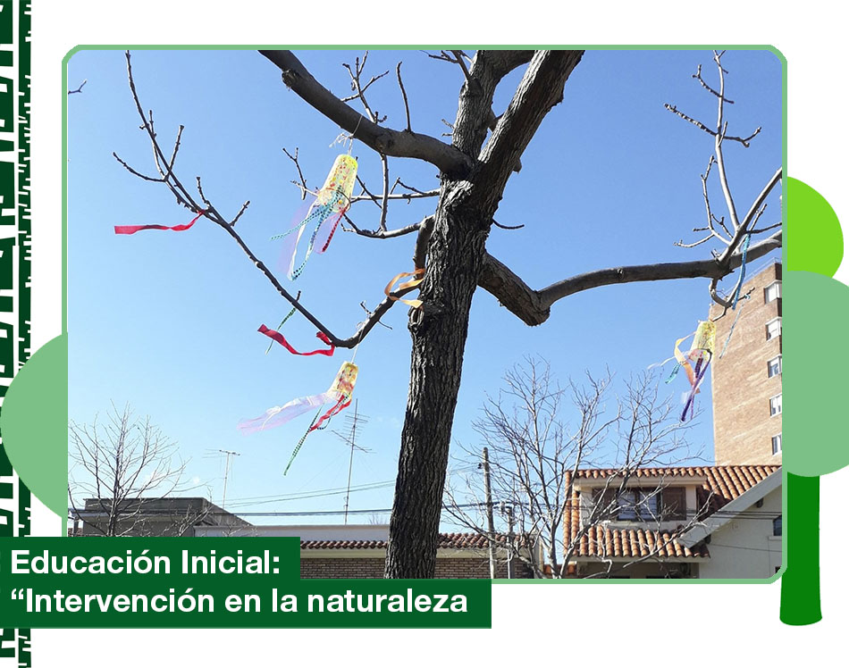 2019: «Intervención en la naturaleza»