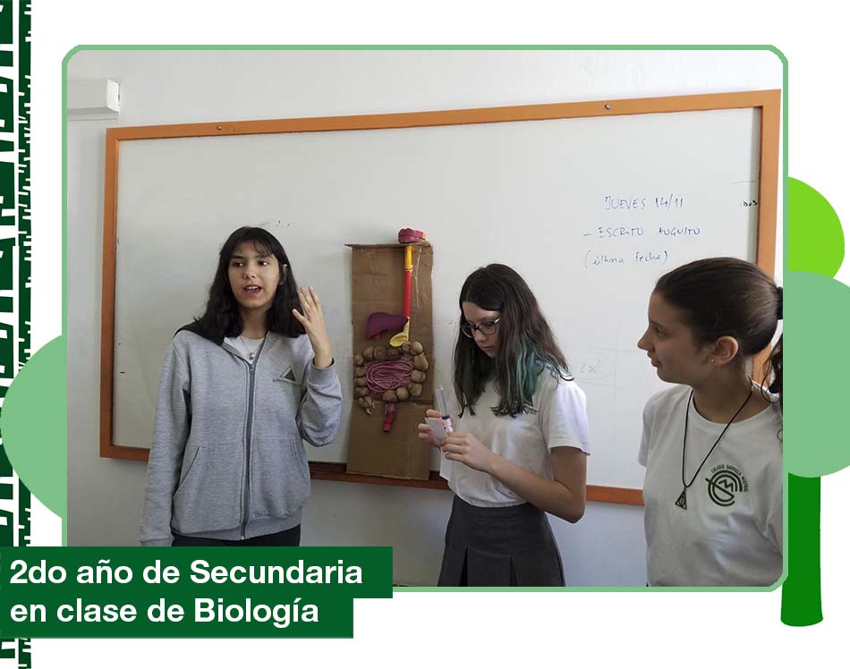 2019: 2do año de Secundaria en clase de Biología