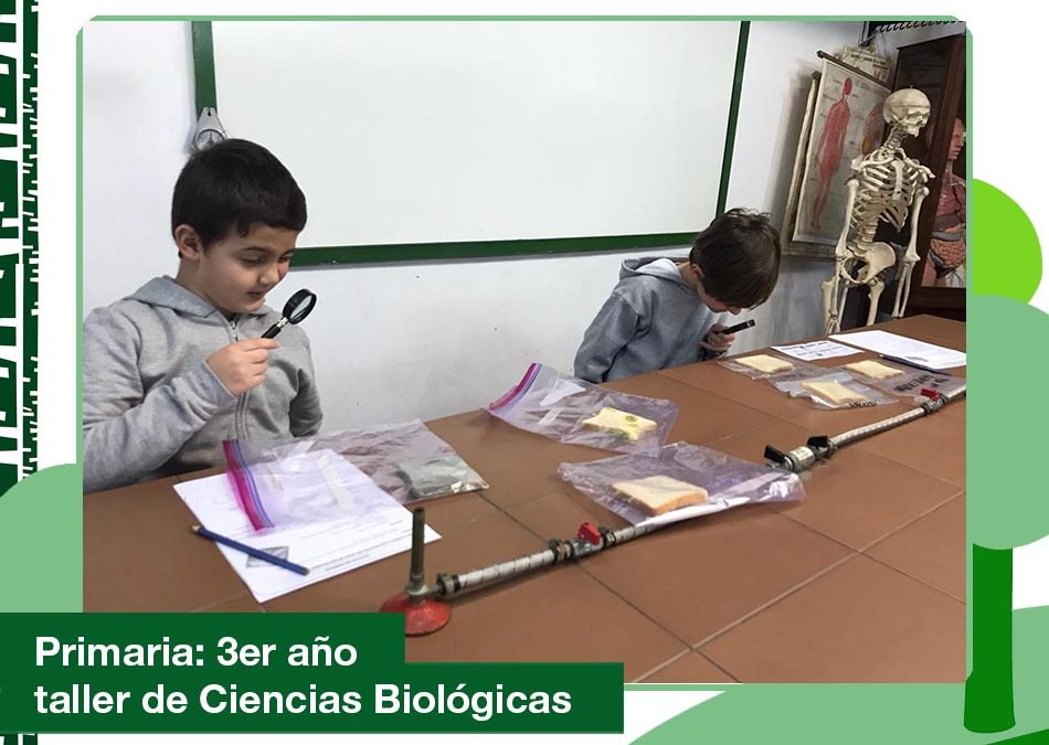 2020: 3er año Primaria en el Taller de Ciencias Biológicas.