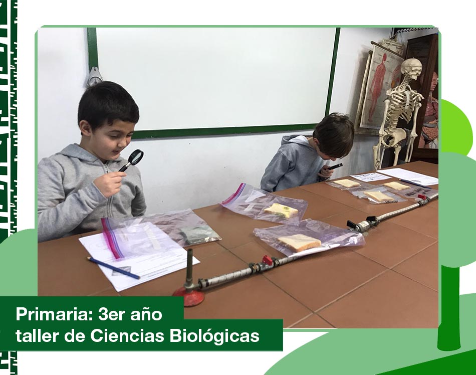 2020: 3er año Primaria en el Taller de Ciencias Biológicas.