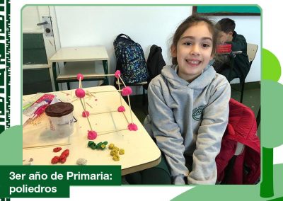 3er año de Primaria creando poliedros.