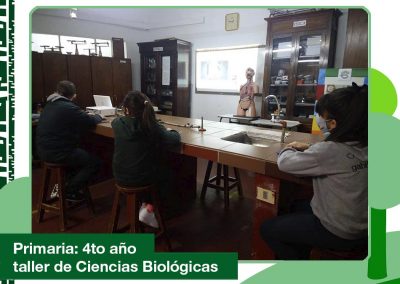 2020: 4to año Primaria en el Taller de Ciencias Biológicas.