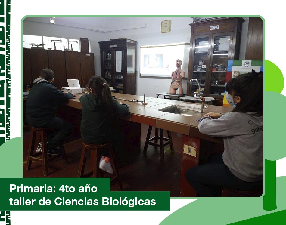 2020: 4to año Primaria en el Taller de Ciencias Biológicas.