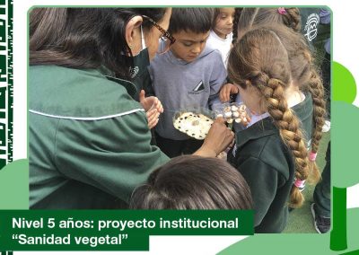 2020: nivel 5 años «Sanidad vegetal»