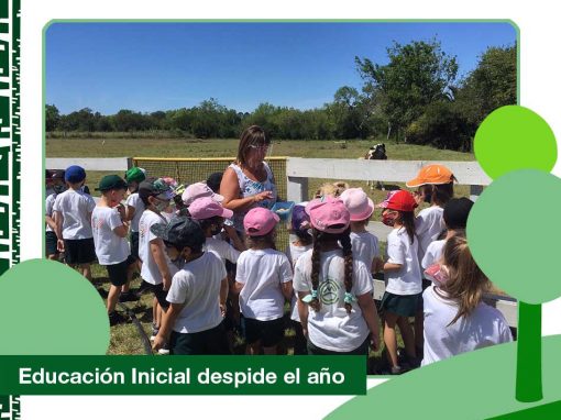 2020: Educación Inicial despide el año